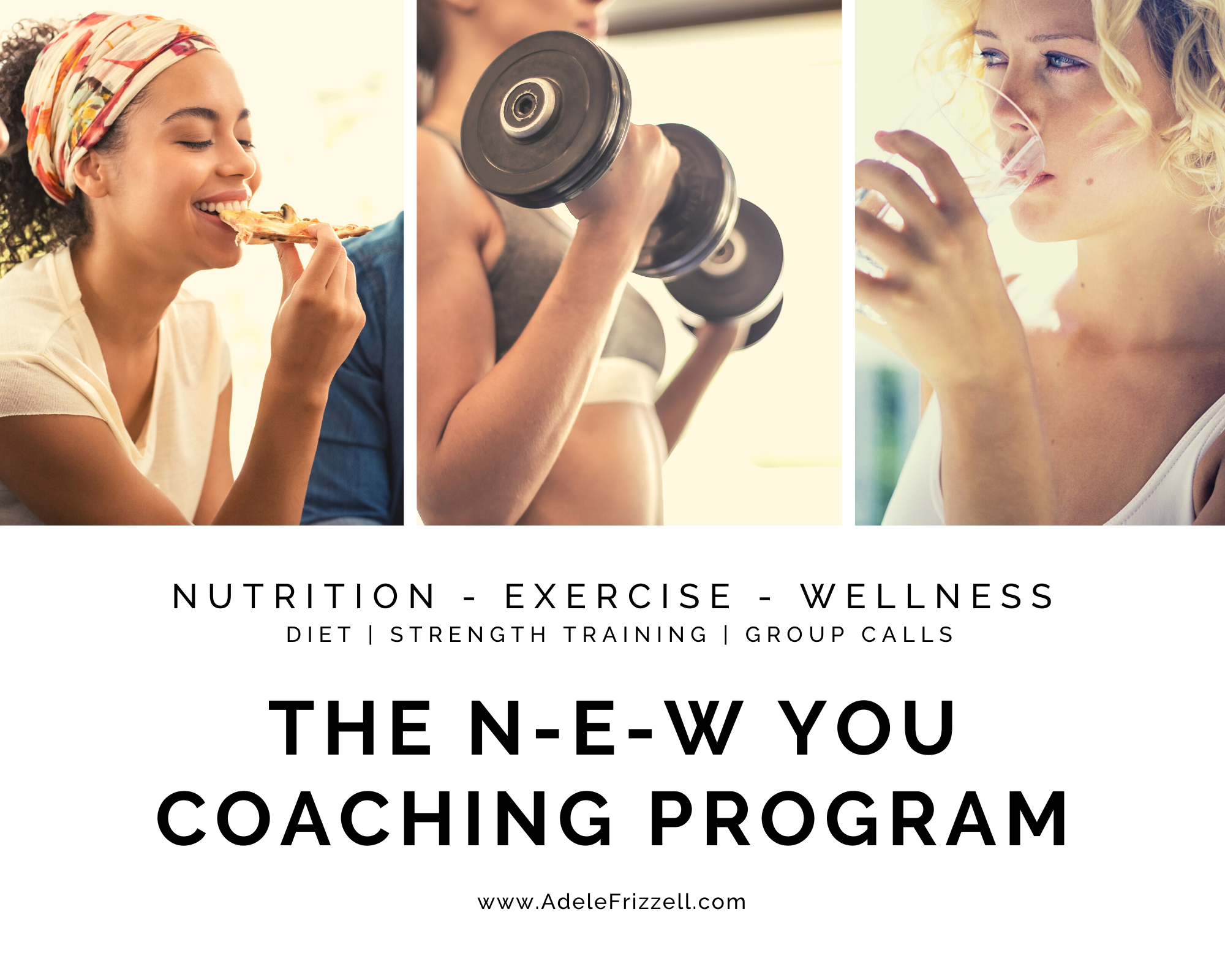 the new you coaching program